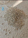 Jewelry Making Findings, Pick Your Own Supplies, Pliers, Earring, Brooch Base & Beading Needles CHJ1015