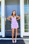 Light Lavender A-Line V Neck Short Homecoming Dress, Cute Graduation Dress chh0162