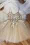 Champagne Tulle Lace Short Homecoming Dresses, A-Line Graduation Dresses With Applique chh0086