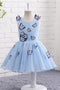 Light Blue Baby Girls Clothes Butterfly Appliques Puffy Flower Girl Dresses UF057