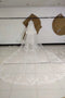 Two Tiers Ivory Lace Appliqued Cathedral Length Tulle Wedding Veil, Charming Bridal Veil V038