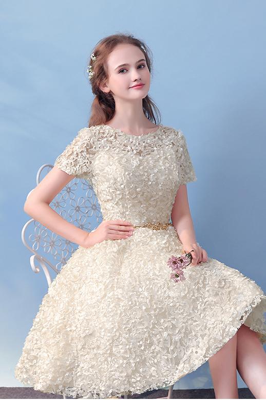 Champagne Cute Short Sleeves A Line Homecoming Dresses, Charming Short Graduation Dresses N1729 cherishgirls Champagne Cute Short Sleeves A Line Homecoming Dresses, Charming Short Graduation Dresses N1729 cherishgirls