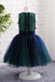 A-line Sleeveless Cute V Neck Tulle Flower Girl Dress with Red Appliques UF056