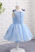 Light Blue Baby Girls Clothes Butterfly Appliques Puffy Flower Girl Dresses UF057