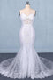 Spaghetti Straps Mermaid Bridal Dress with Appliques, Lace Beach Wedding Dresses UQ2295